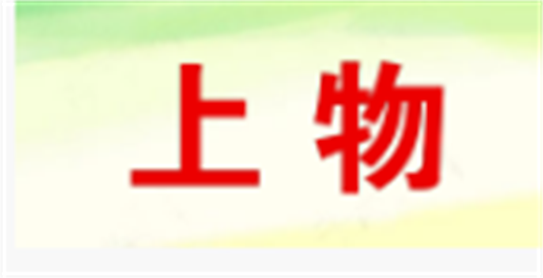 2024國產91视频污污污品牌前十名10
