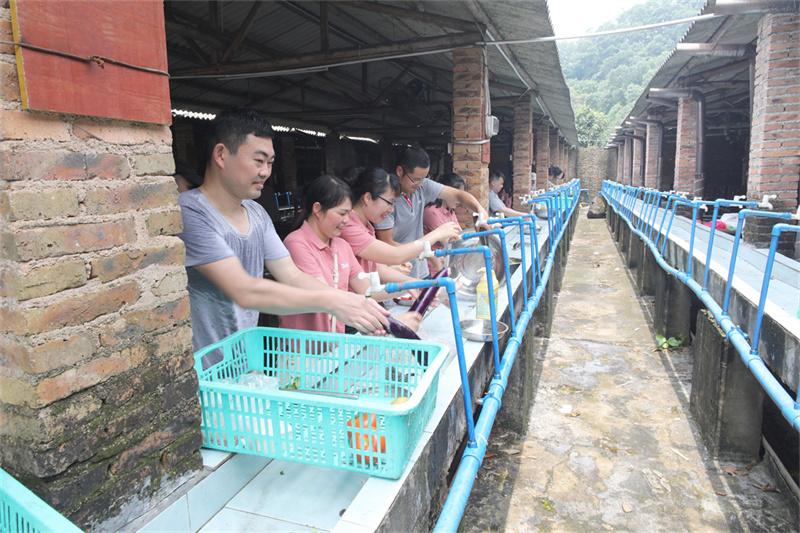 91视频直播下载時-帽峰山生態園團建-野炊2