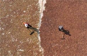 色差寶在油茶国产无码91视频中的應用