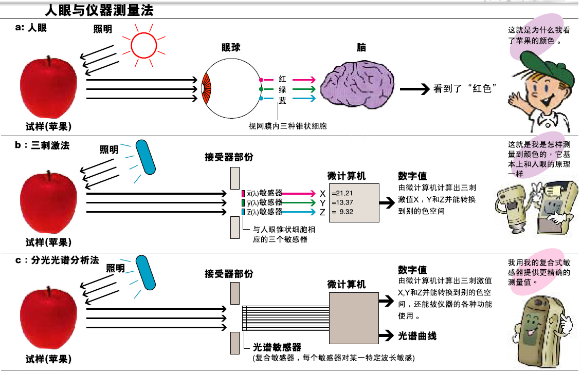 91视频污污污的分光型與三刺激值型哪個更好？
