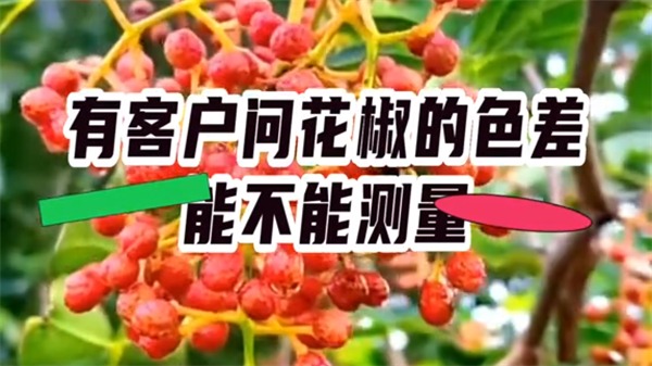 【案例】花椒測色——TS8560台式分光測色儀