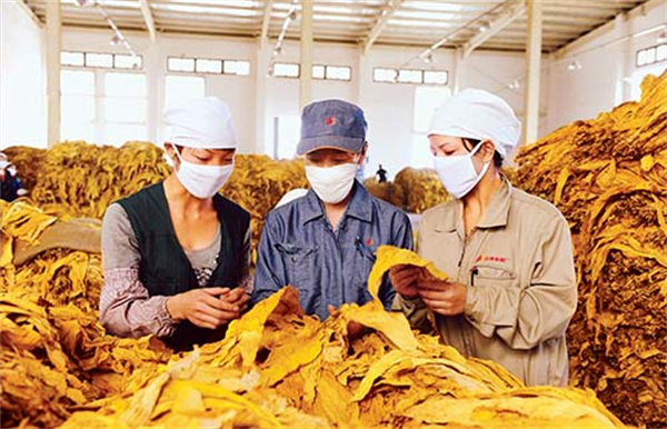 煙葉分級燈箱的色溫和顯色指數是多少？