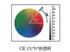 91视频污污污l值c值h值是什麽意思？